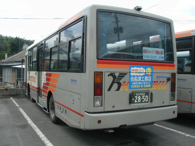 ���z��ʁy�k��B22��28-50�z