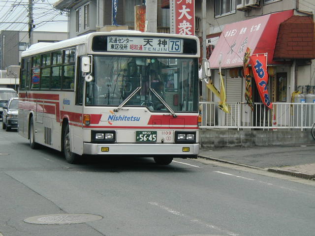 �y��P�P�O�X