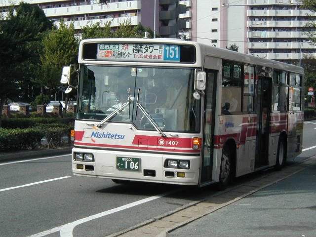 �����P�S�O�V