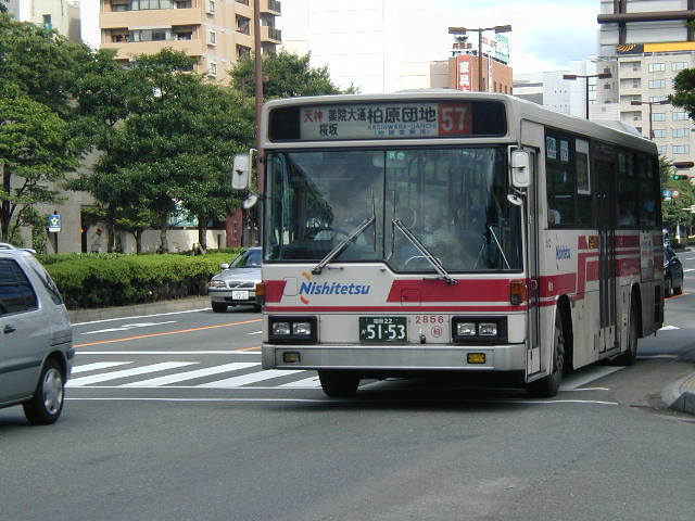 �����Q�W�T�U