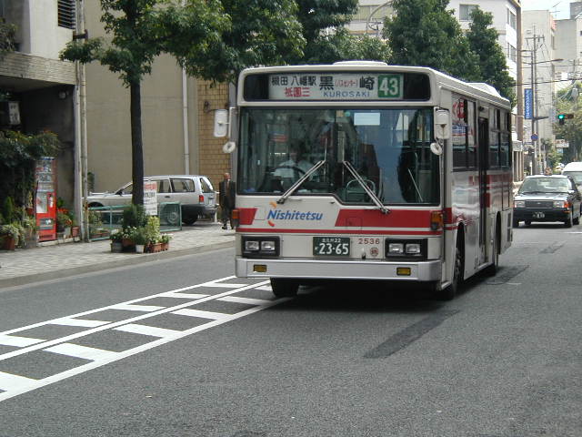 �����Q�T�R�U