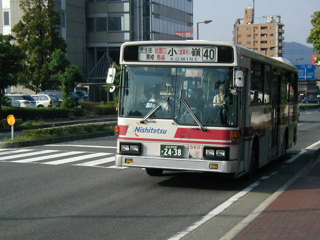 ����Q�T�U�O