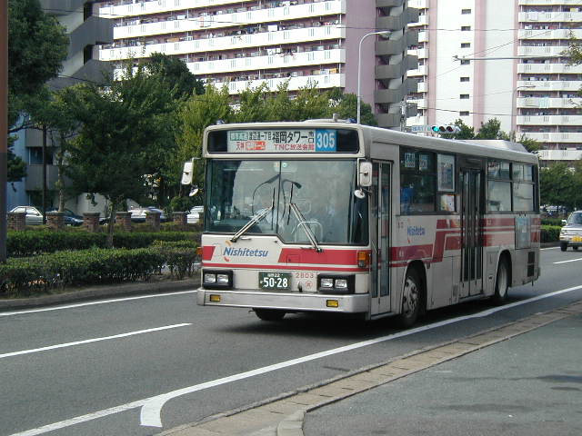 �G�M�G�Q�W�O�R