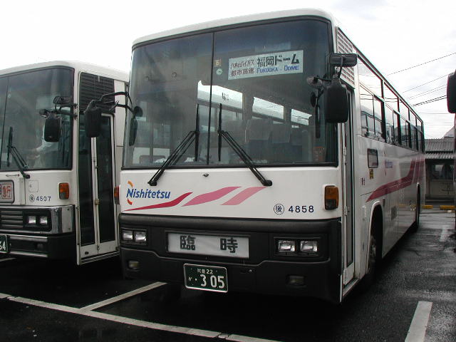 �}�L�S�W�T�W