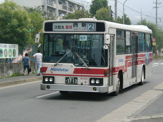 �l�ӓc�S�O�U�T