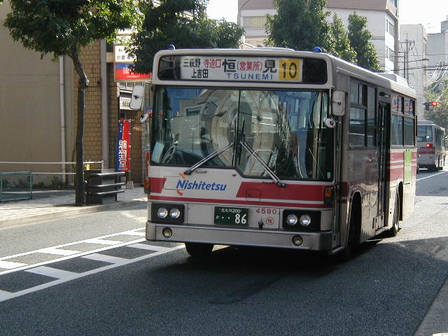 �P���S�T�X�O