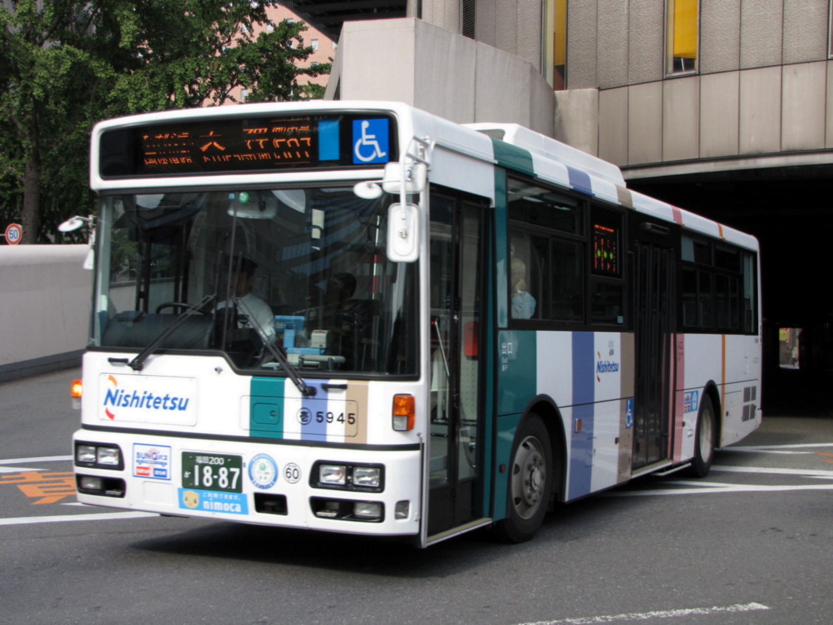 ���T�X�S�T