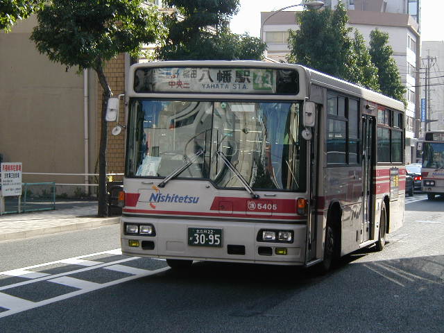 ���T�S�O�T