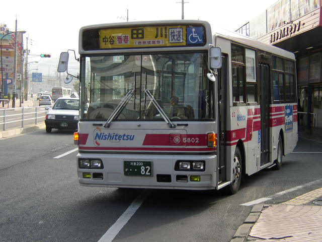 �}�L�T�W�O�Q