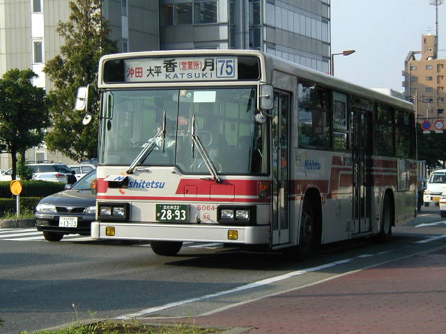 �����T�O�U�S