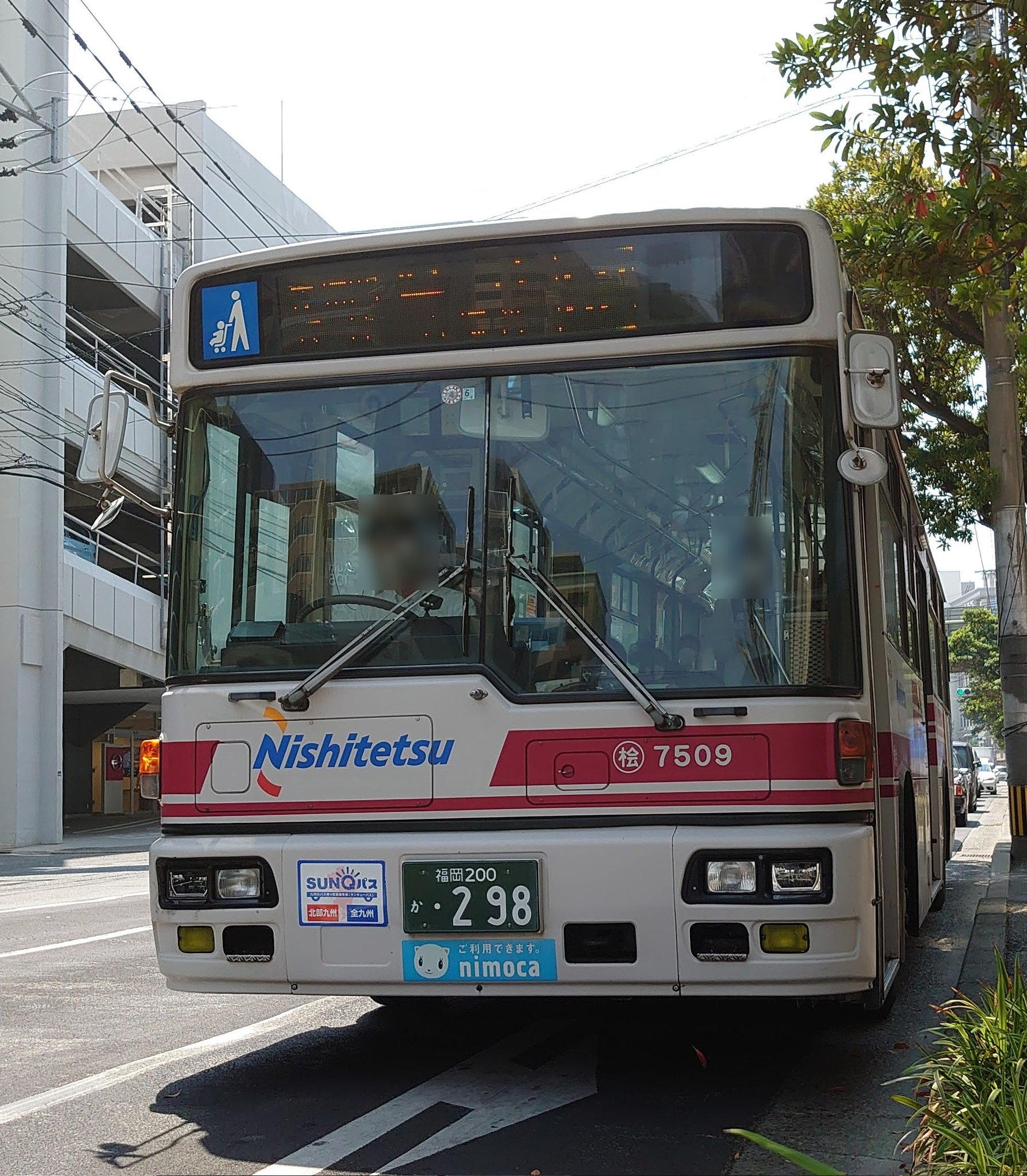 �O���V�T�O�X