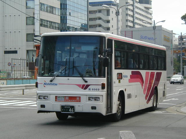 ���������W�X�U�X