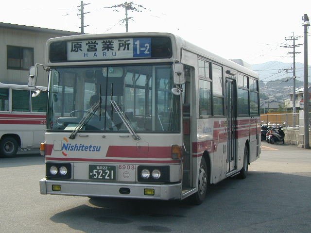 ���W�X�O�R