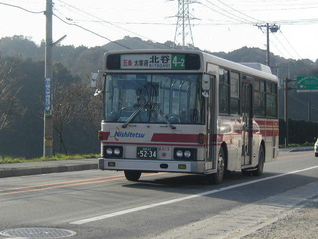 ���W�X�P�R