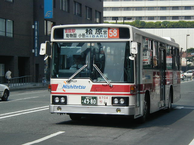 �O���W�V�O�S