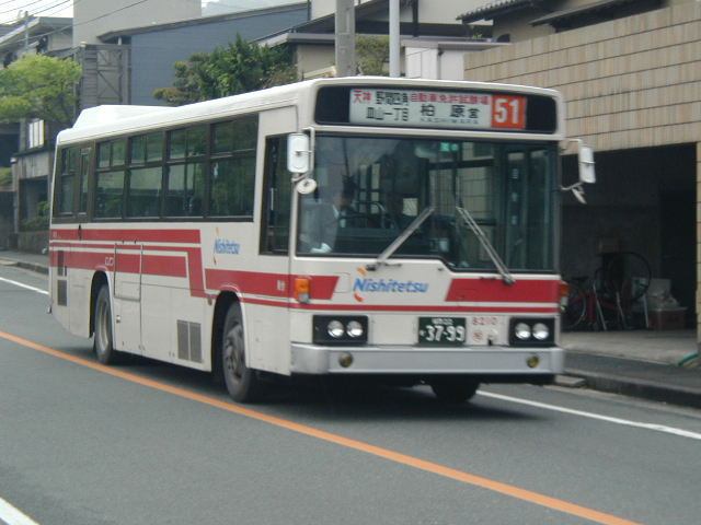 �����W�Q�P�O