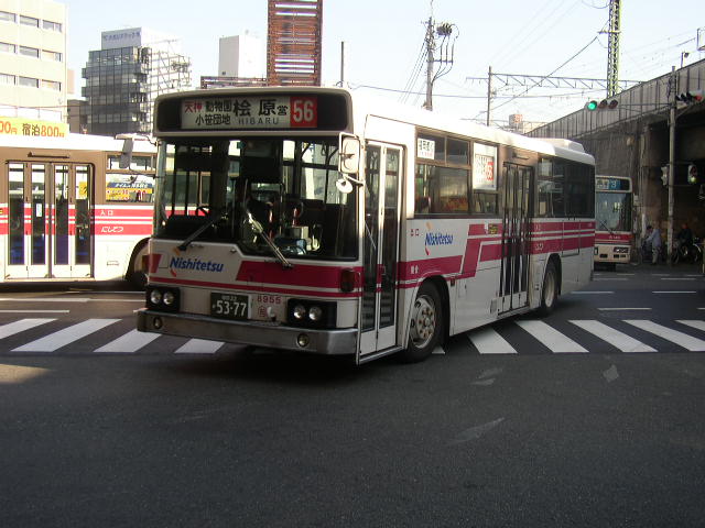 �����W�X�T�T