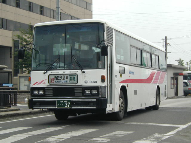 ����W�S�W�O