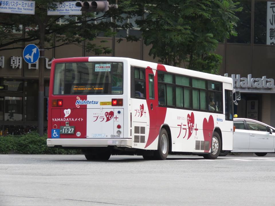 �g�˂X�Q�W�U�y�x�`�l�`�c�`�x�`���C�g�E�u���Ȃс{�z