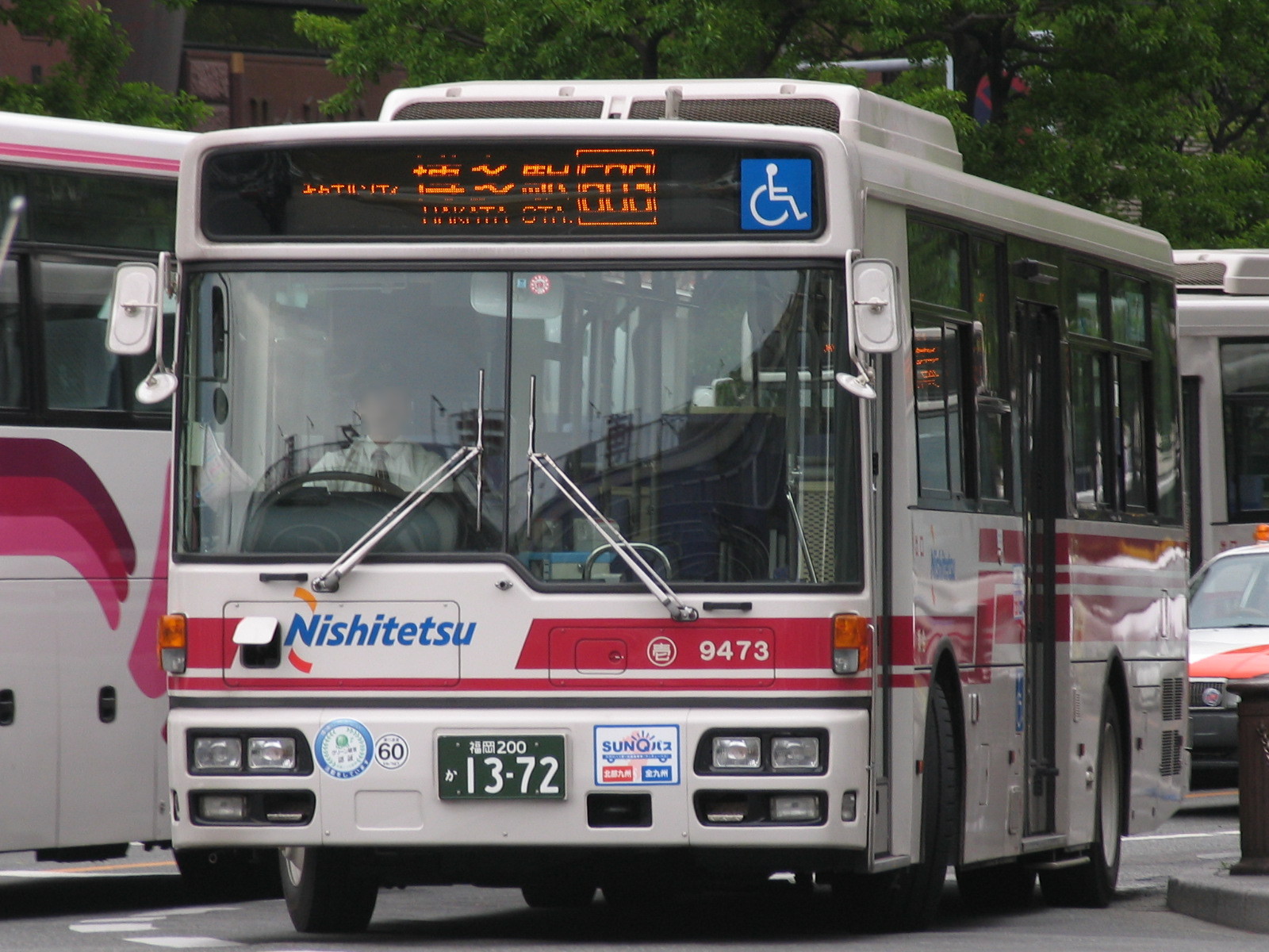 ���X�S�V�R